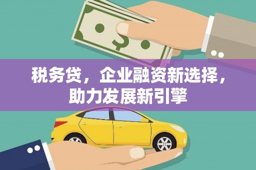 拉萨税务贷，企业融资新选择，助力发展新引擎