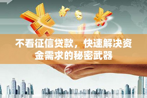 拉萨不看征信贷款，快速解决资金需求的秘密武器