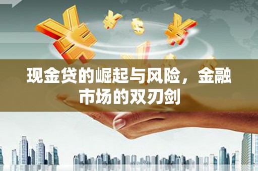拉萨现金贷的崛起与风险，金融市场的双刃剑