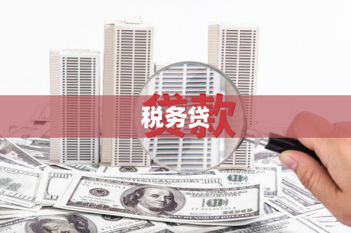 拉萨税务贷