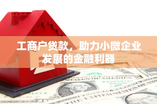 拉萨工商户贷款，助力小微企业发展的金融利器