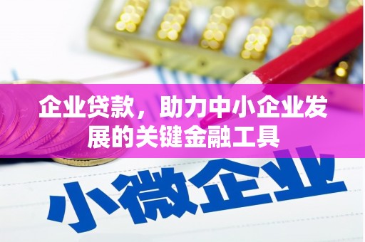拉萨企业贷款，助力中小企业发展的关键金融工具