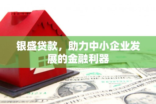 拉萨银盛贷款，助力中小企业发展的金融利器