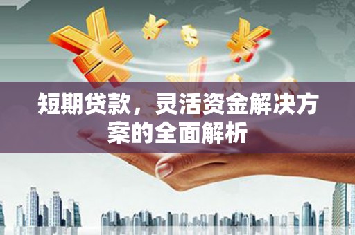 拉萨短期贷款，灵活资金解决方案的全面解析
