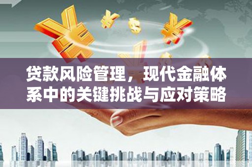 拉萨贷款风险管理，现代金融体系中的关键挑战与应对策略