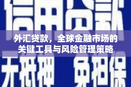 拉萨外汇贷款，全球金融市场的关键工具与风险管理策略