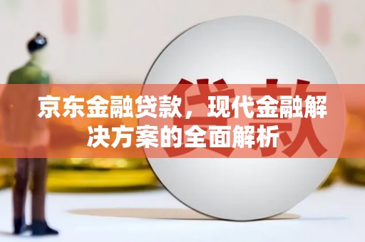 拉萨京东金融贷款，现代金融解决方案的全面解析