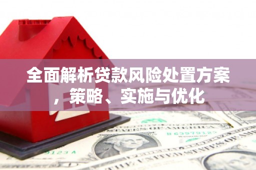 拉萨全面解析贷款风险处置方案，策略、实施与优化