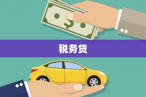 拉萨税务贷