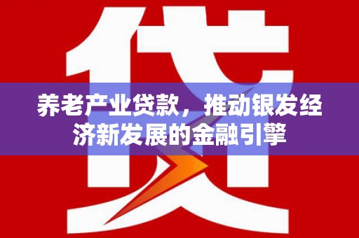 拉萨养老产业贷款，推动银发经济新发展的金融引擎