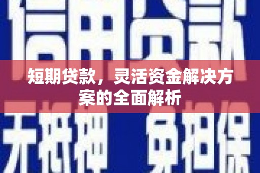 拉萨短期贷款，灵活资金解决方案的全面解析