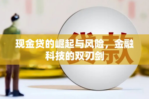 拉萨现金贷的崛起与风险，金融科技的双刃剑