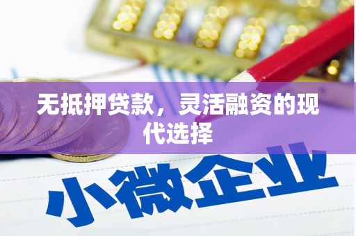 拉萨无抵押贷款，灵活融资的现代选择