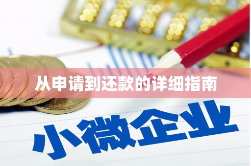 拉萨从申请到还款的详细指南