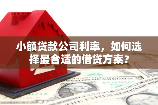 拉萨小额贷款公司利率，如何选择最合适的借贷方案？