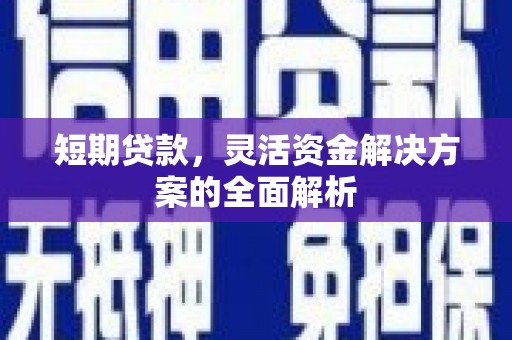 拉萨短期贷款，灵活资金解决方案的全面解析