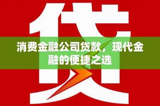 拉萨消费金融公司贷款，现代金融的便捷之选