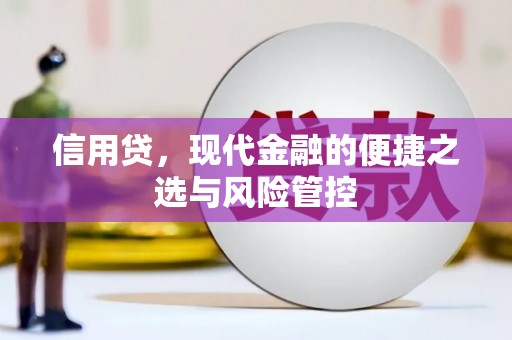 拉萨信用贷，现代金融的便捷之选与风险管控