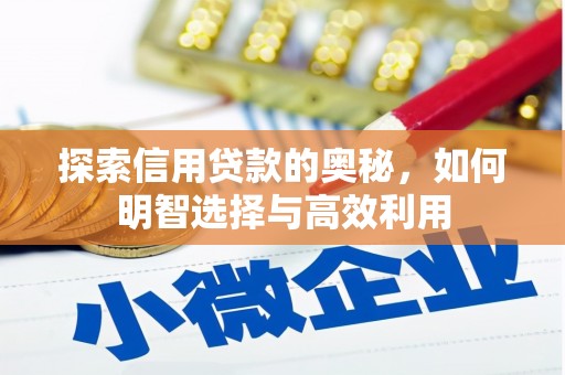 拉萨探索信用贷款的奥秘，如何明智选择与高效利用