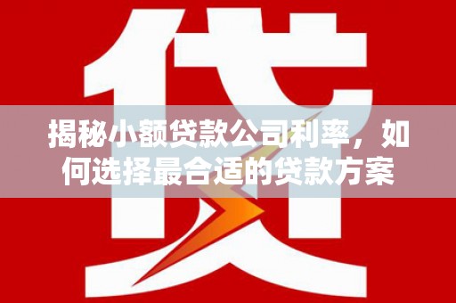 拉萨揭秘小额贷款公司利率，如何选择最合适的贷款方案