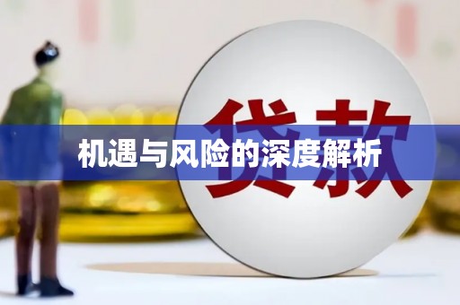 拉萨机遇与风险的深度解析