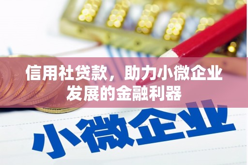 拉萨信用社贷款，助力小微企业发展的金融利器