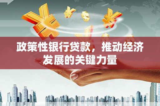 拉萨政策性银行贷款，推动经济发展的关键力量