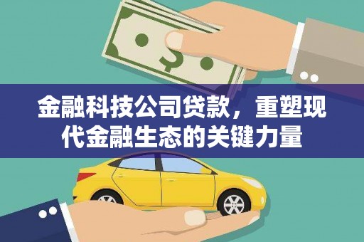 拉萨金融科技公司贷款，重塑现代金融生态的关键力量