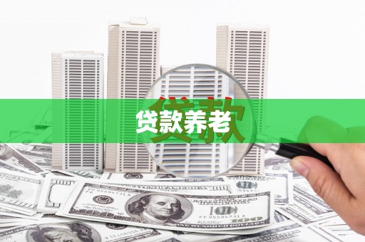 拉萨贷款养老