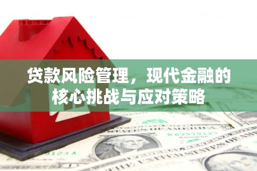 拉萨贷款风险管理，现代金融的核心挑战与应对策略