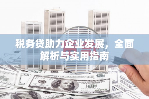 拉萨税务贷助力企业发展，全面解析与实用指南
