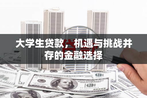 拉萨大学生贷款，机遇与挑战并存的金融选择