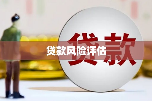拉萨贷款风险评估