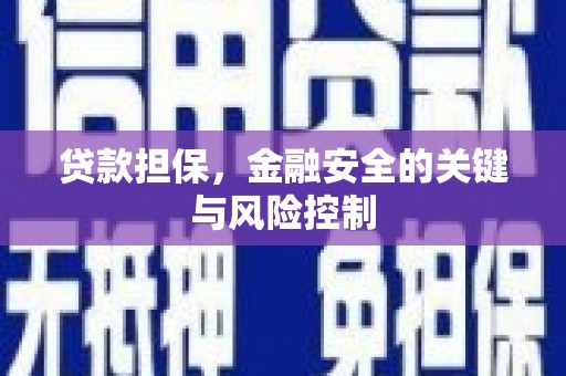 拉萨贷款担保，金融安全的关键与风险控制