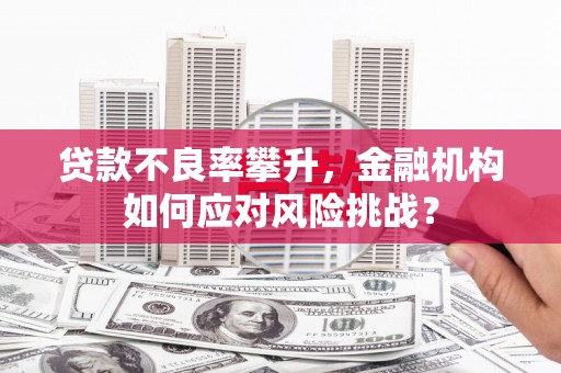 拉萨贷款不良率攀升，金融机构如何应对风险挑战？