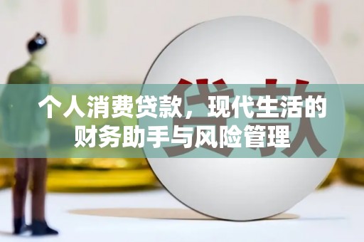拉萨个人消费贷款，现代生活的财务助手与风险管理
