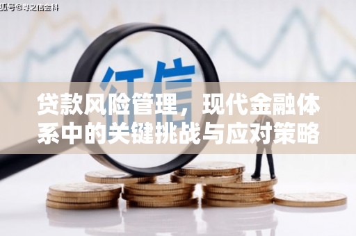 拉萨贷款风险管理，现代金融体系中的关键挑战与应对策略