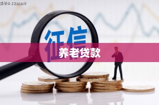 拉萨养老贷款
