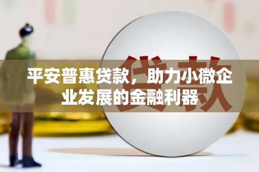 拉萨平安普惠贷款，助力小微企业发展的金融利器