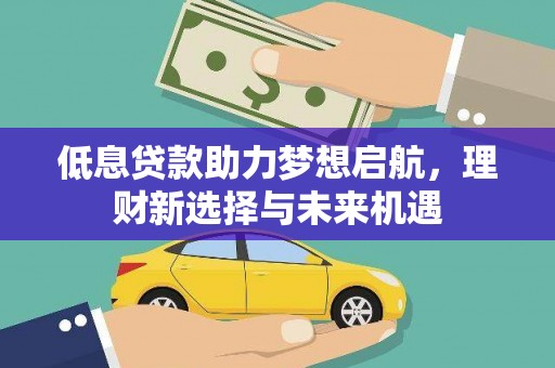 拉萨低息贷款助力梦想启航，理财新选择与未来机遇