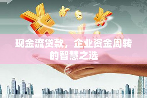 拉萨现金流贷款，企业资金周转的智慧之选