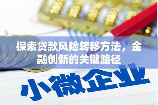 拉萨探索贷款风险转移方法，金融创新的关键路径