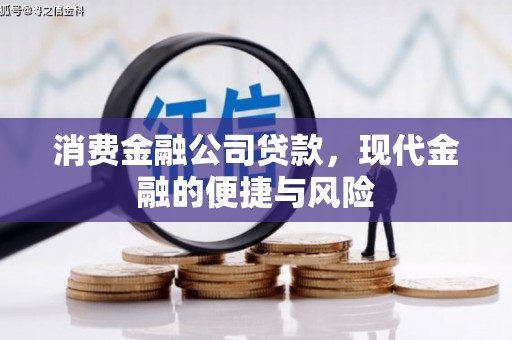 拉萨消费金融公司贷款，现代金融的便捷与风险