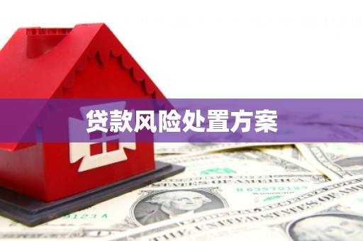 拉萨贷款风险处置方案