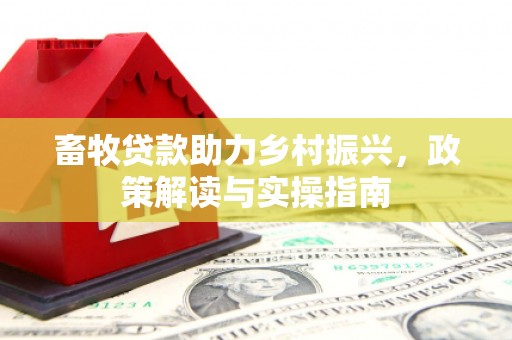 拉萨畜牧贷款助力乡村振兴，政策解读与实操指南