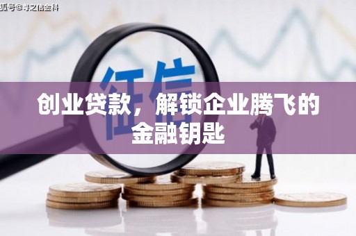拉萨创业贷款，解锁企业腾飞的金融钥匙