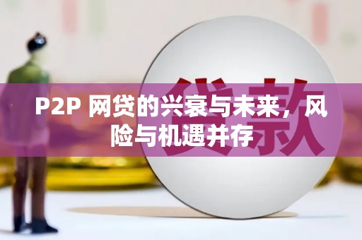 拉萨P2P 网贷的兴衰与未来，风险与机遇并存