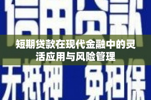 拉萨短期贷款在现代金融中的灵活应用与风险管理