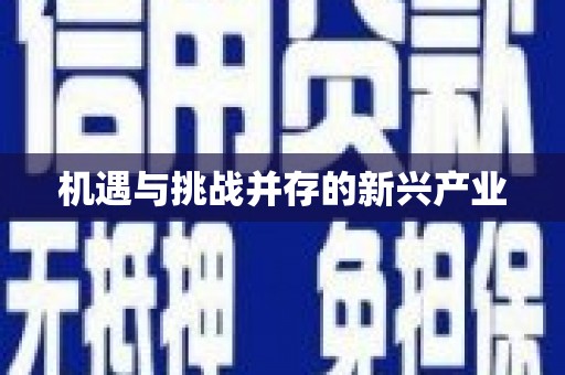 拉萨机遇与挑战并存的新兴产业