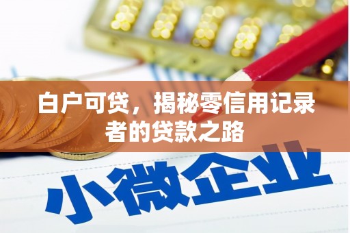 拉萨白户可贷，揭秘零信用记录者的贷款之路